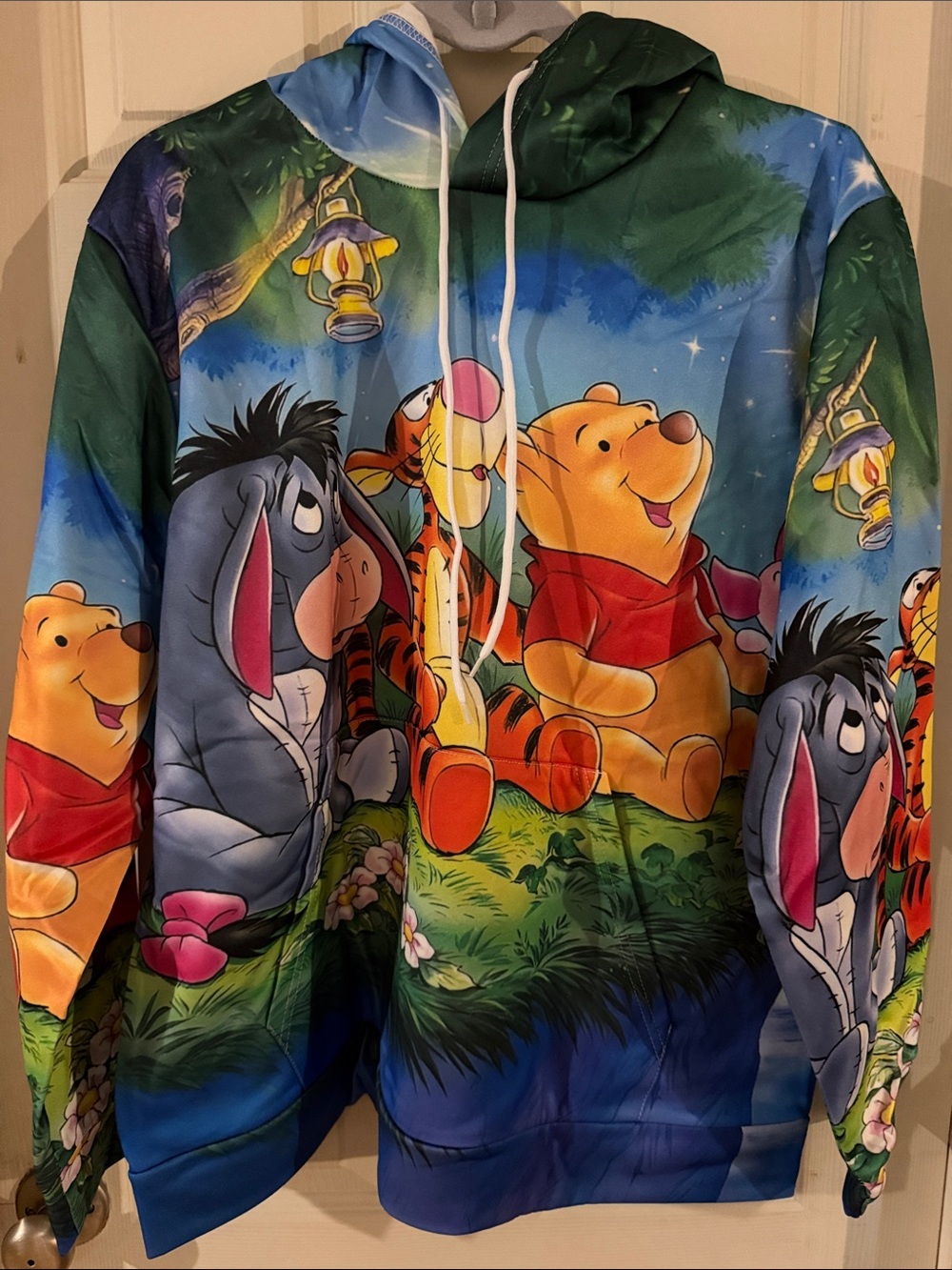 Winnie the Pooh Friends Woman’s Hoodie - Multicolor Size